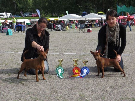 Heinola kr-13 Remu & Lyyti